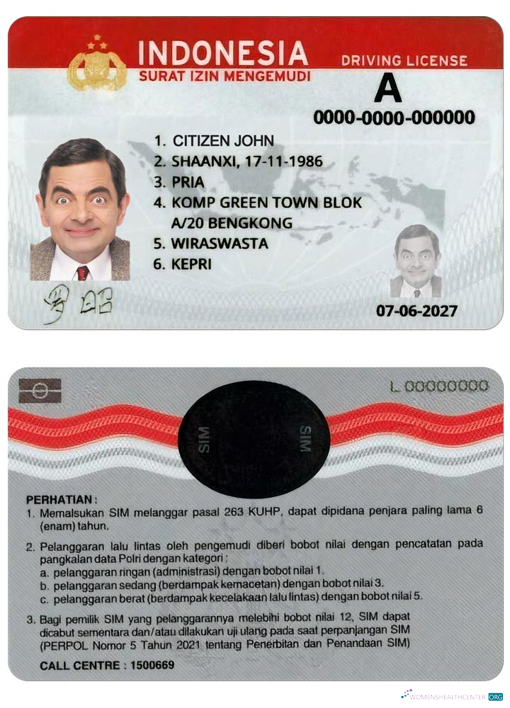 download Indonesia driving license (2019 – present)